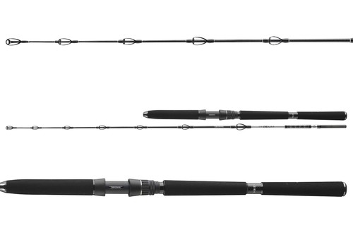 Daiwa deep sea - bg, 2,20m
