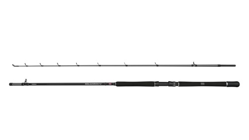 Penn squadron halibut - iv,