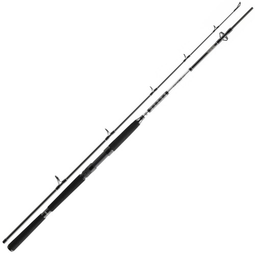 Daiwa meeresruten - bg,